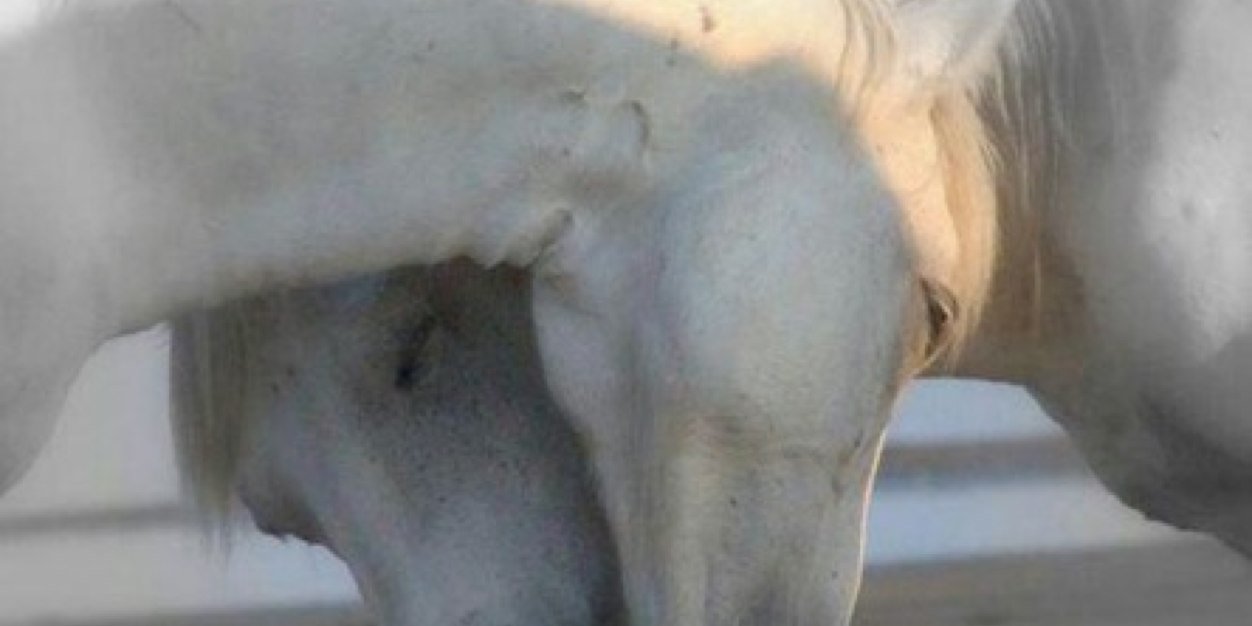 Msengineer00's profile banner image