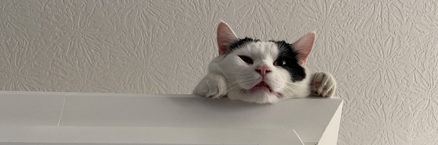 palumboabbby's profile banner image