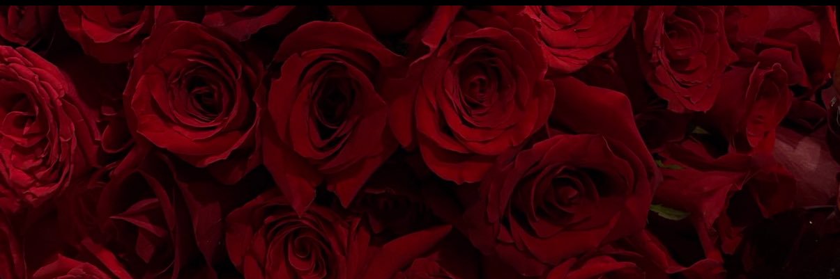Famouscrystal_'s profile banner image