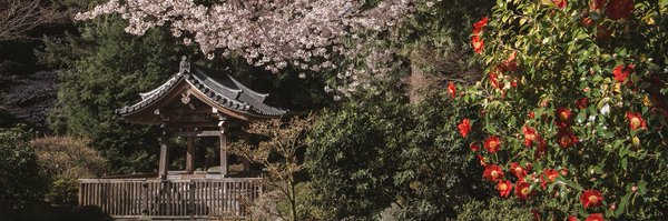 UBC Asian Studies Profile Banner