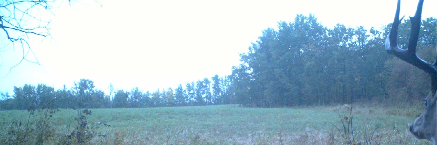 SpruceGrover's profile banner image
