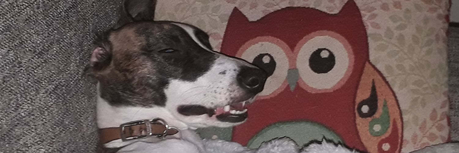 Wallace Campbell banner