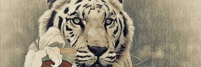 abboud1181's profile banner image