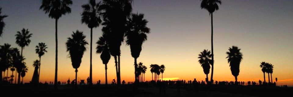 Daniel Rotman banner