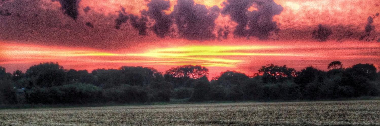 norfolkmade's profile banner image