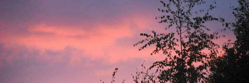 Heta Heiskanen banner