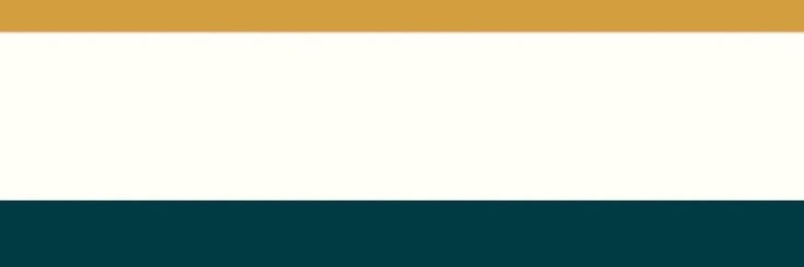 CastroCamiila's profile banner image