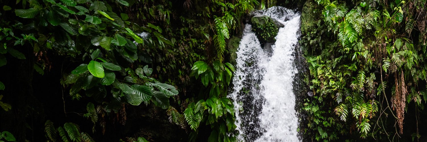 ViewMaster Russ banner