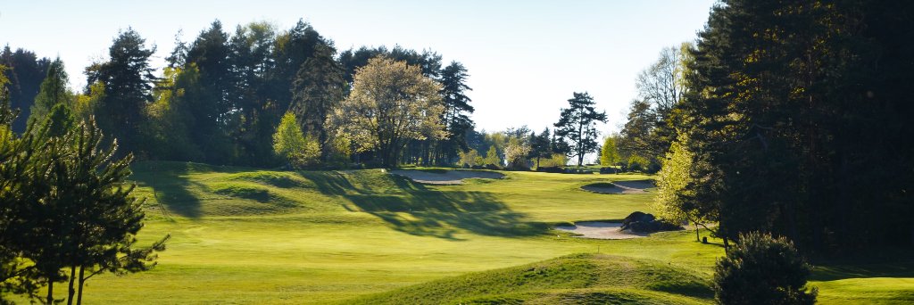 golfmonachus's profile banner image