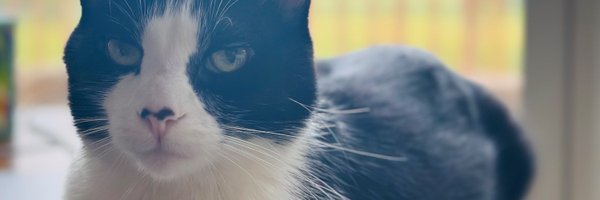 KBoulnemour Profile Banner