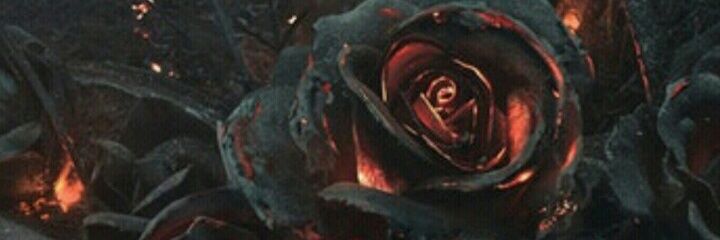 EuDigoo's profile banner image