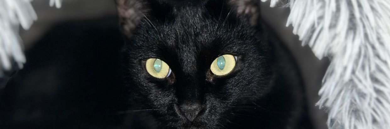jords946's profile banner image
