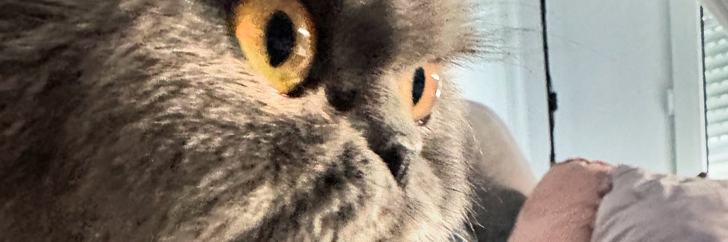 Yreennee's profile banner image