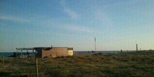 Maria Bonich Pique banner