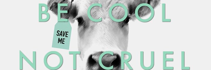 criwestx's profile banner image