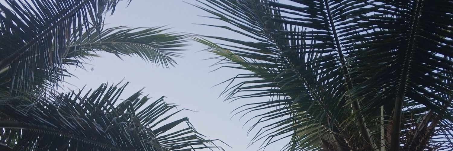 AlmaMiir's profile banner image