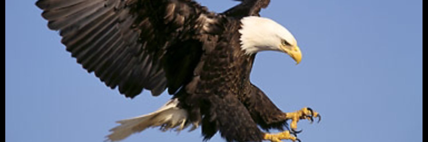 M_16_abdulla's profile banner image