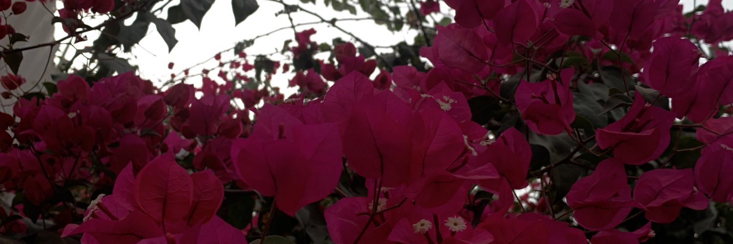 38war1's profile banner image
