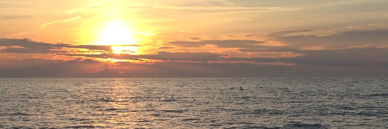shayecclestone's profile banner image