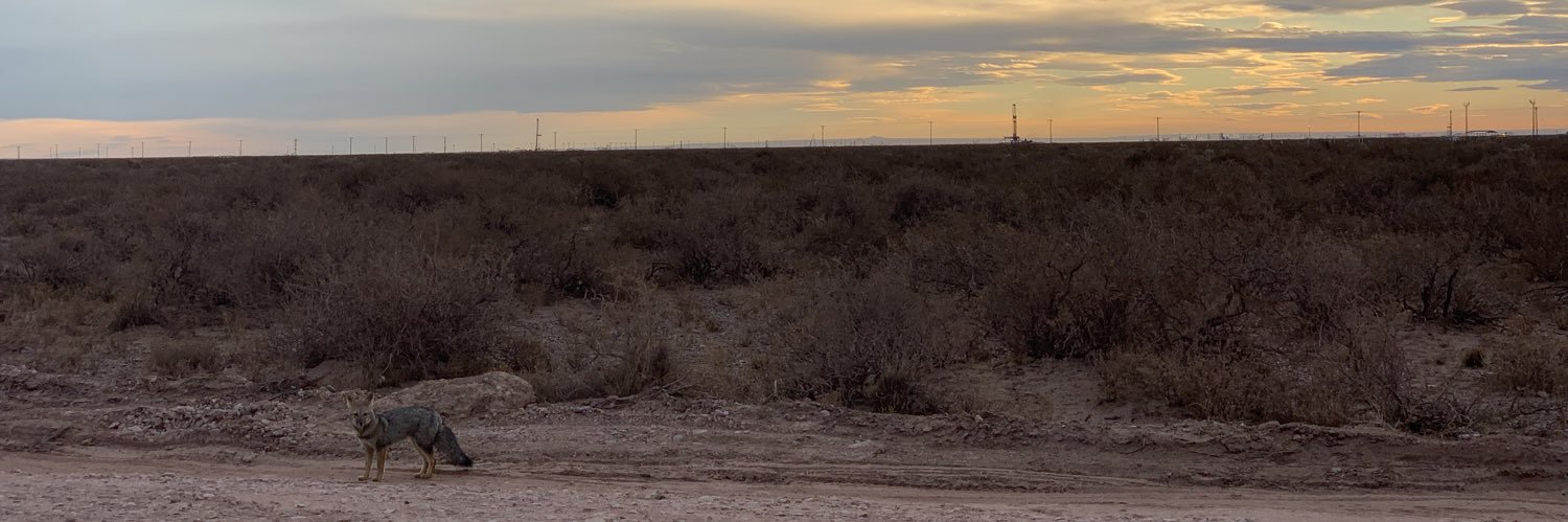 Carlos E. Barboza banner