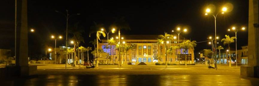 Dom Manuel I banner