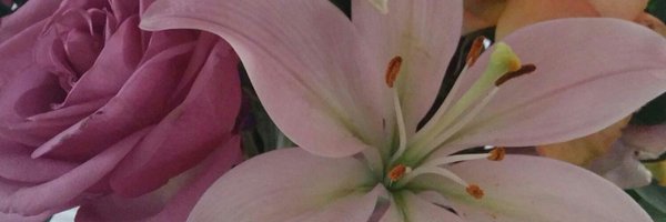 DMcCage Profile Banner