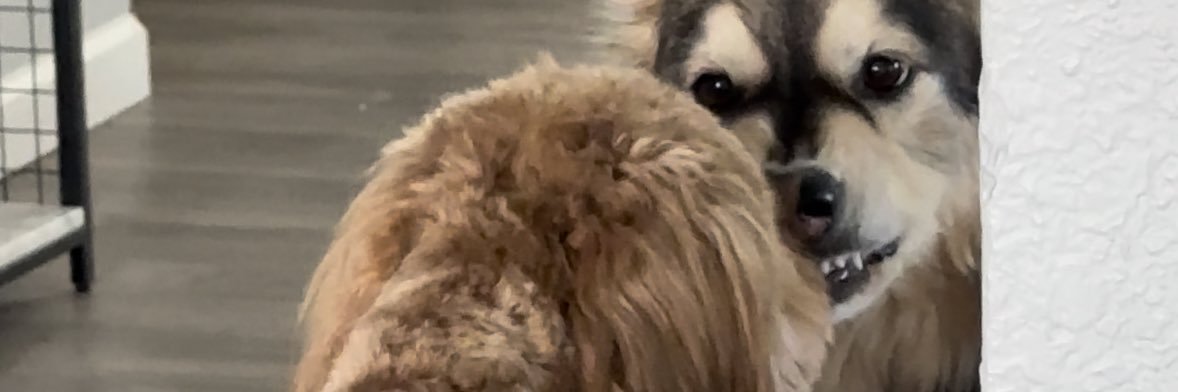 IbeStaccyyy's profile banner image