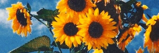 DROGADADELETRAS's profile banner image
