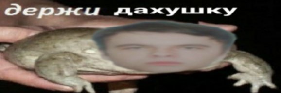 yur_lit's profile banner image