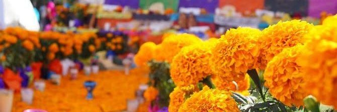 CareenEsquivel's profile banner image