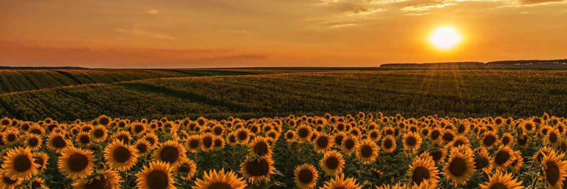 ucntop's profile banner image