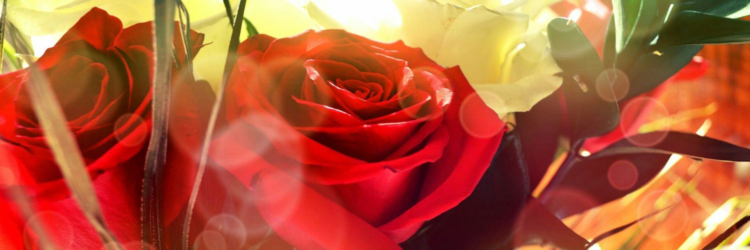Elvisaa84's profile banner image