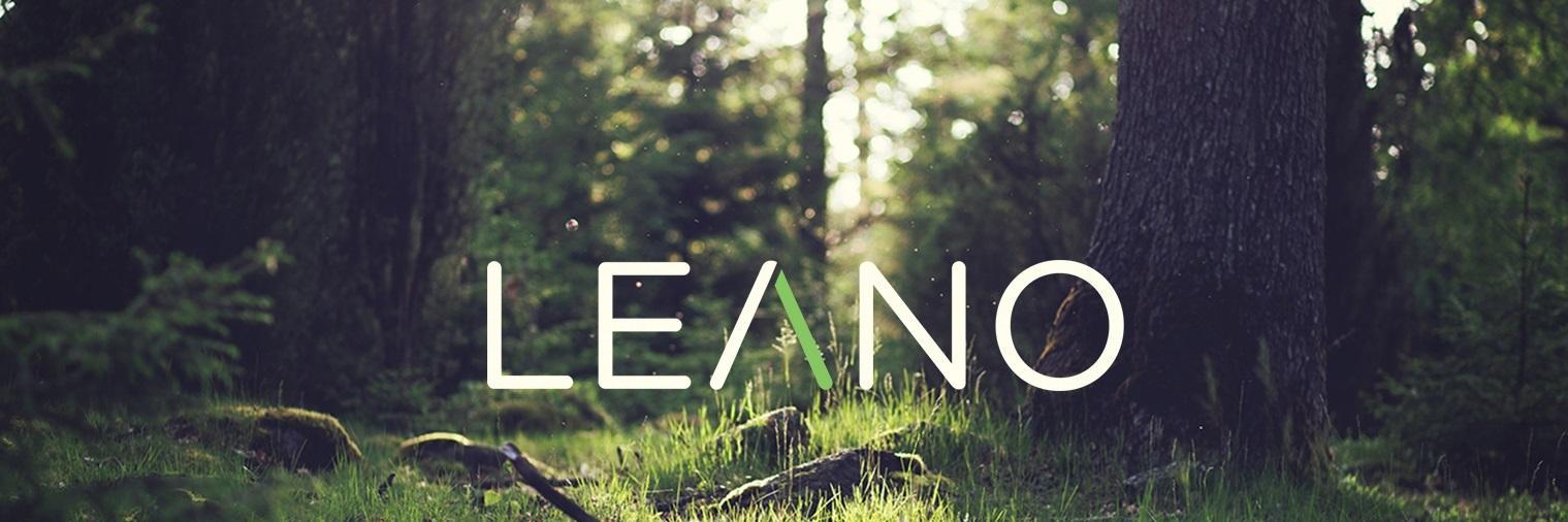 LeanoTeam's profile banner image