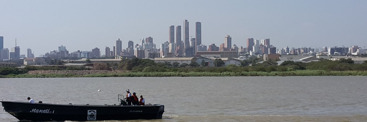 curramberillo's profile banner image