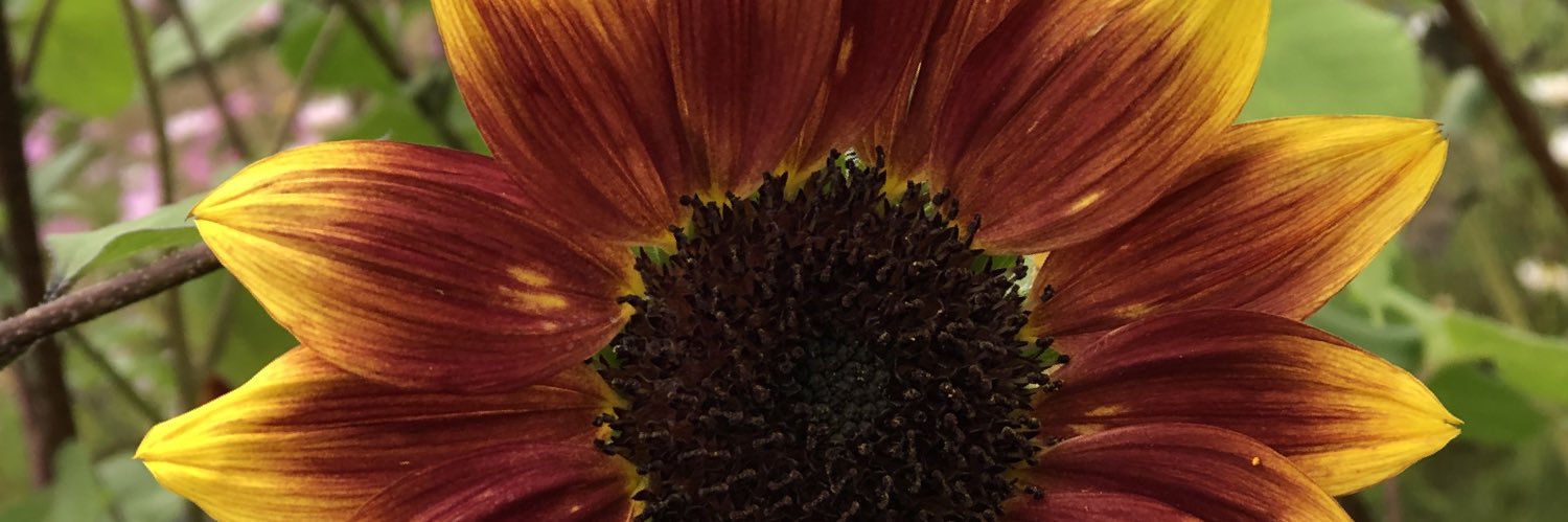 MrsGamble116's profile banner image