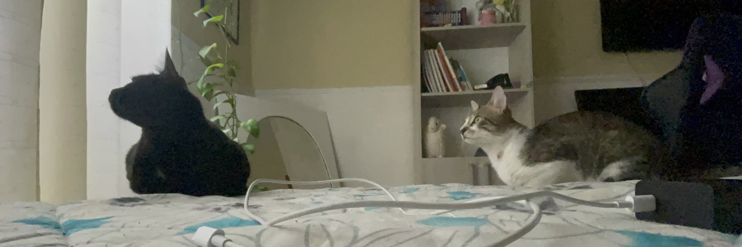 lluciazk's profile banner image
