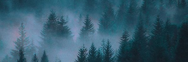 InaptSurvivor Profile Banner