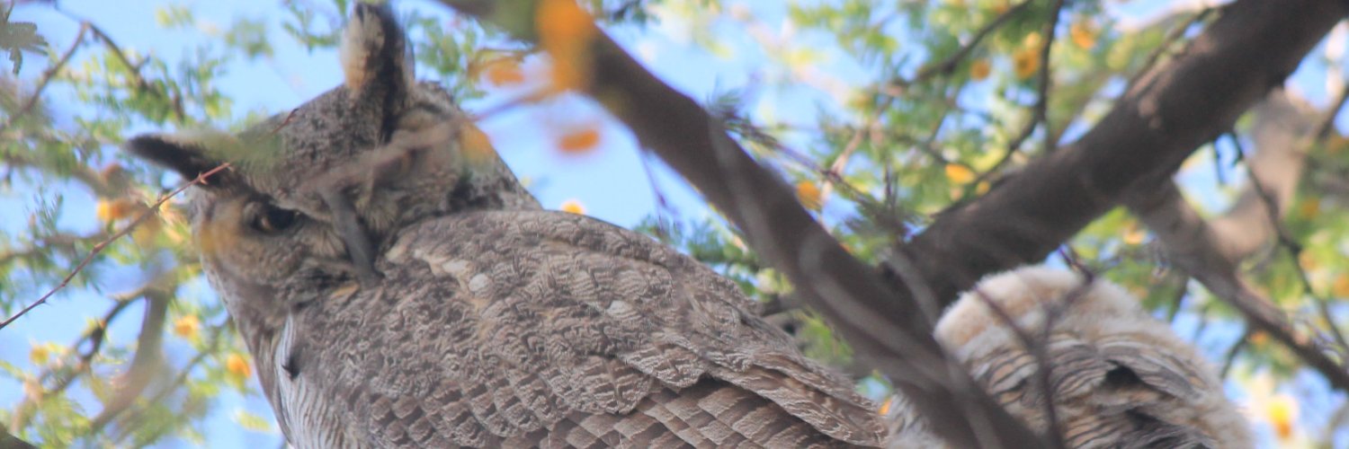 AmyCat68's profile banner image