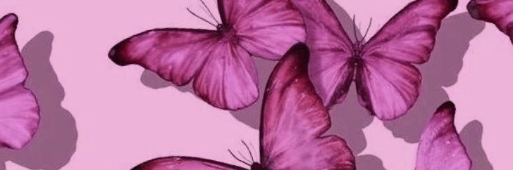 steanyoliveira1's profile banner image