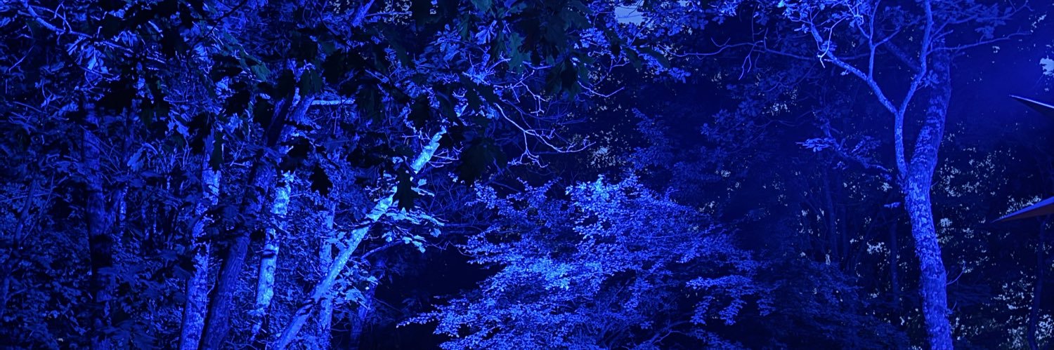 L4ur4K3's profile banner image