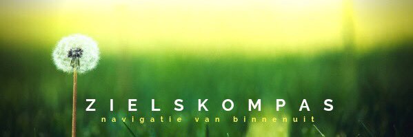 zielskompas's profile banner image