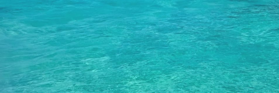 brendaneri_'s profile banner image