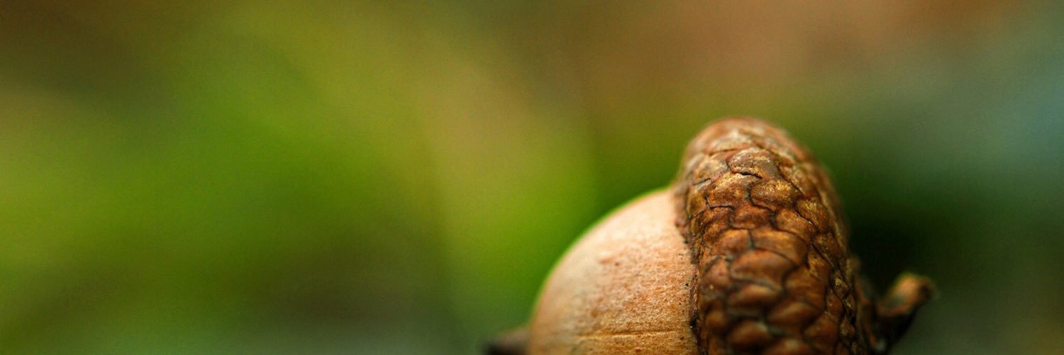 atownroots's profile banner image