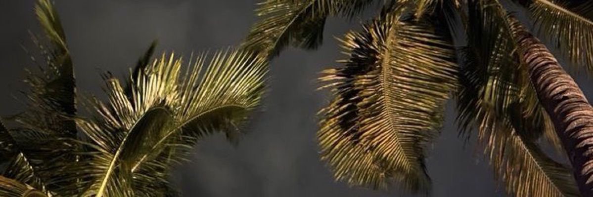 suhad_63's profile banner image