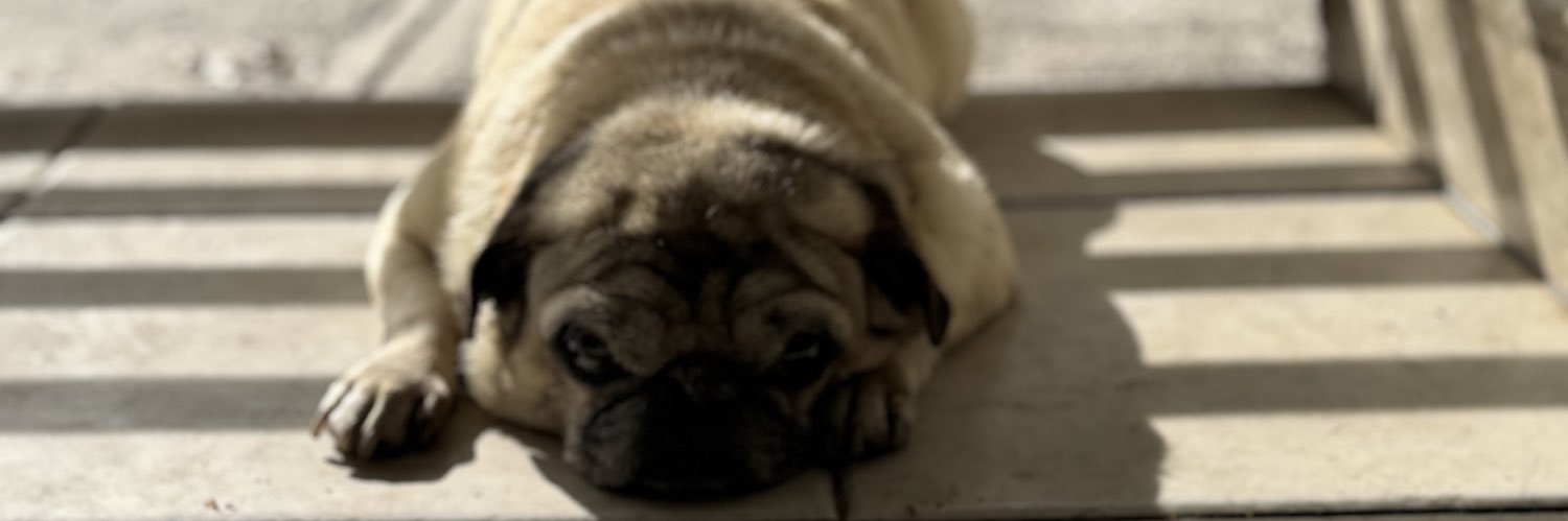 bradcryy's profile banner image