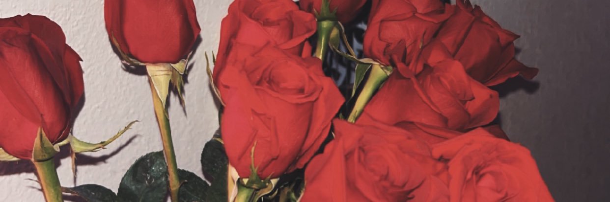 rxincxrnxte's profile banner image