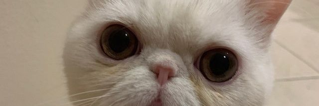 williamw0302's profile banner image