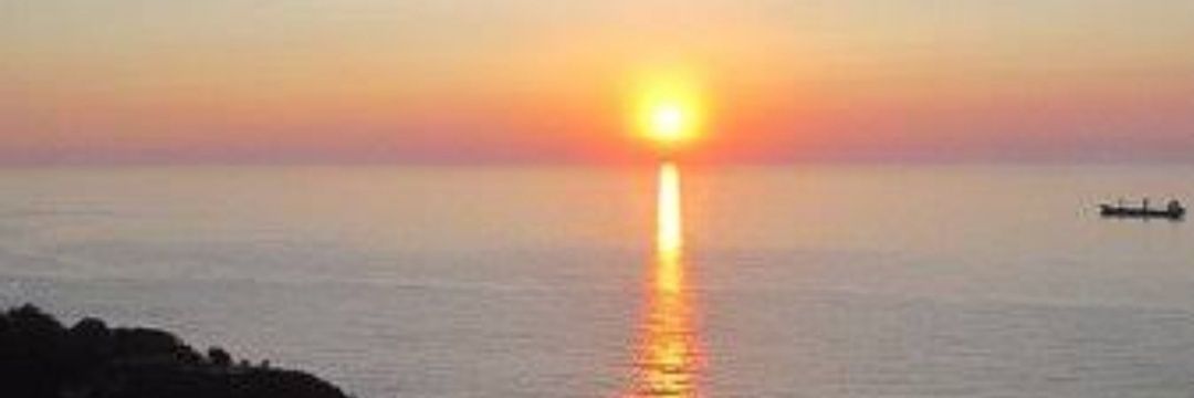 _Bilgini's profile banner image