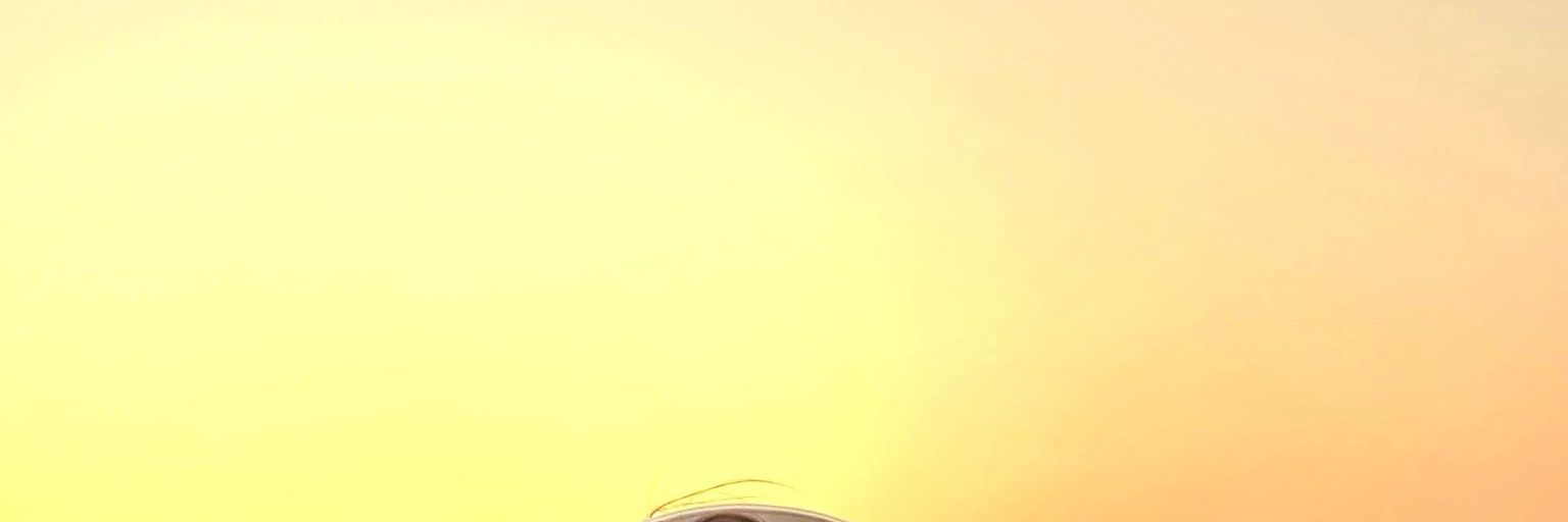 A. banner