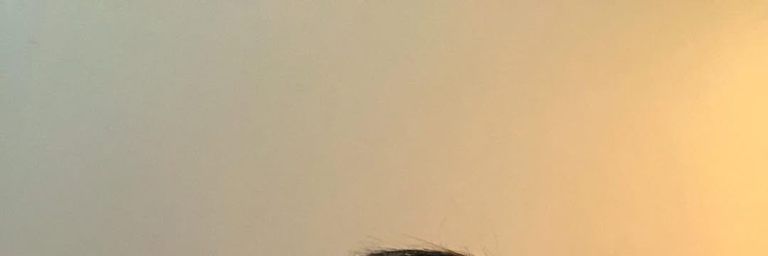 ituadori's profile banner image
